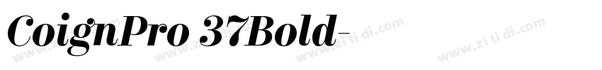 CoignPro 37Bold字体转换
